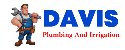 Trusted plumber in COTTON PLANT